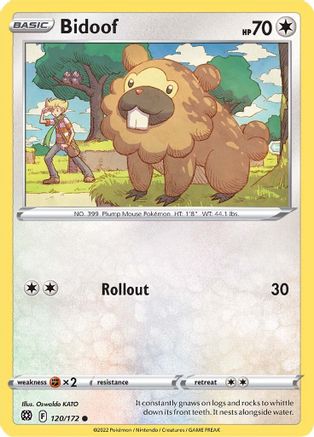 Bidoof 120/172 - SWSH09 Brilliant Stars Reverse Holofoil