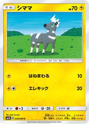 Blitzle (029/060) - SM7a Thunderclap Spark