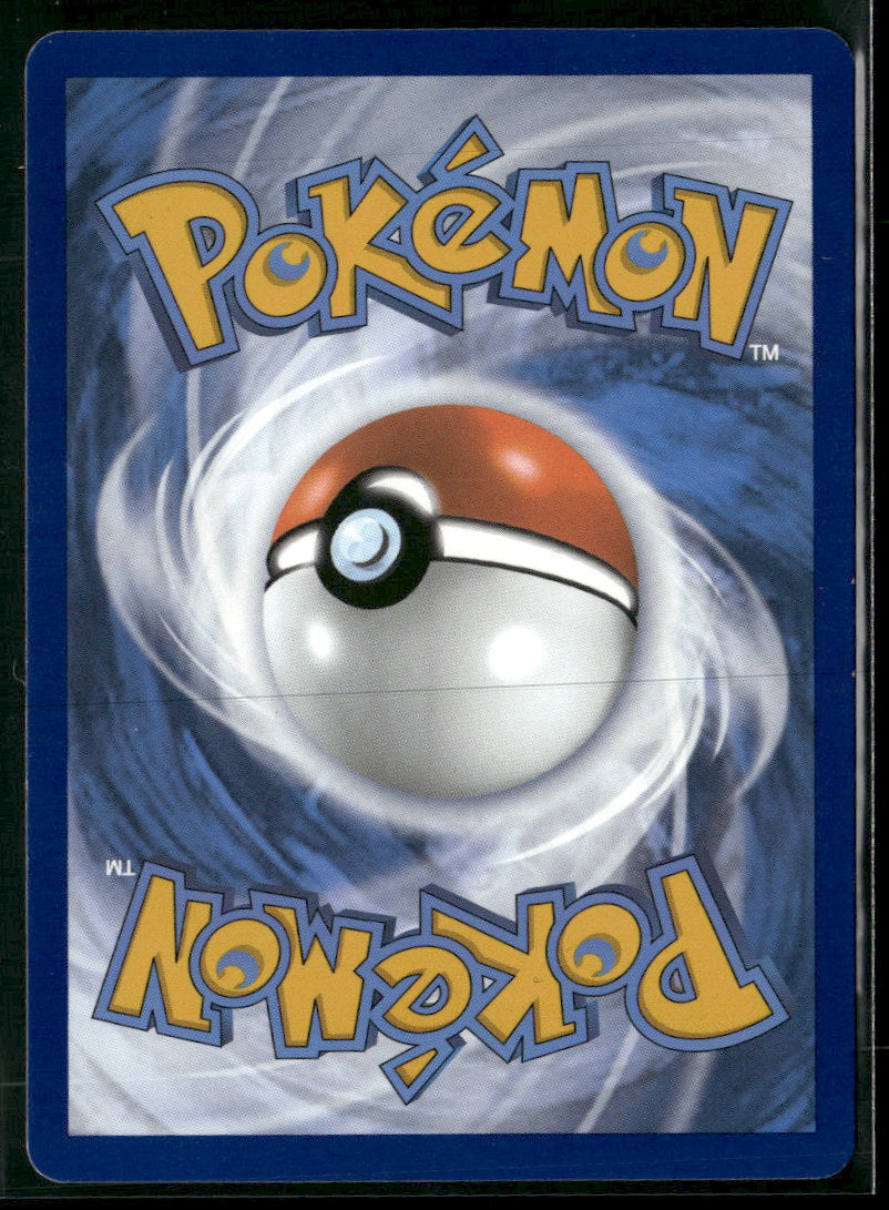 SWSH: Sword & Shield Promo Cards Lucario VSTAR #SWSH291