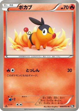 Tepig (008/053) - BW1 Black Collection Unlimited
