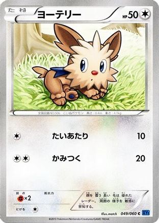 Lillipup (049/060) - XYBx Collection X 1st Edition