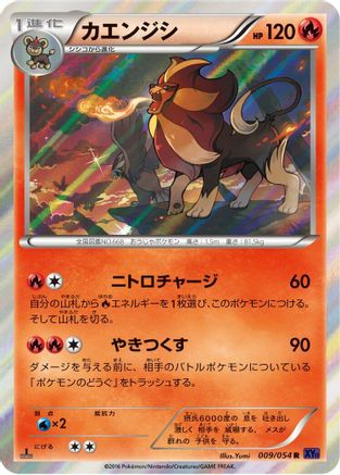 Pyroar (009/054) - XY11Bb FeverBurst Fighter 1st Edition Holofoil