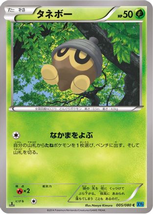 Seedot (005/080) - XY2 Wild Blaze Unlimited