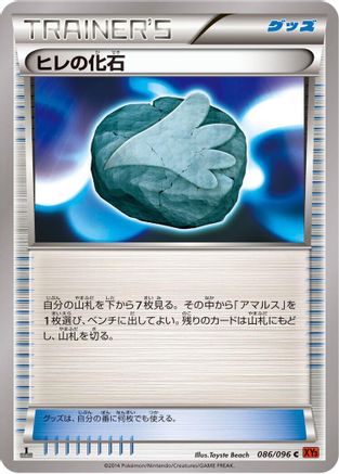 Sail Fossil (086/096) - XY3 Rising Fist 1st Edition