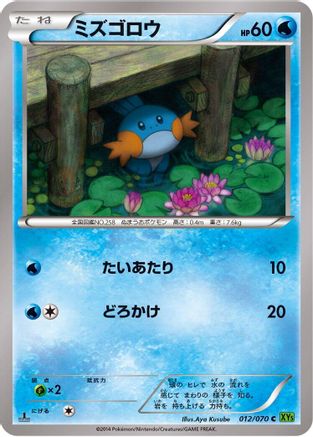 Mudkip (012/070) - XY5Bt Tidal Storm 1st Edition