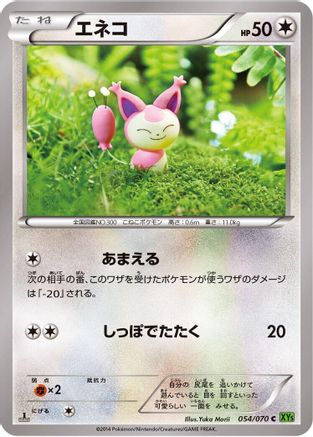Skitty (054/070) - XY5Bt Tidal Storm 1st Edition