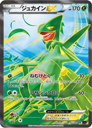 Sceptile EX - 082/081 (082/081) - XY7 Bandit Ring Unlimited Holofoil