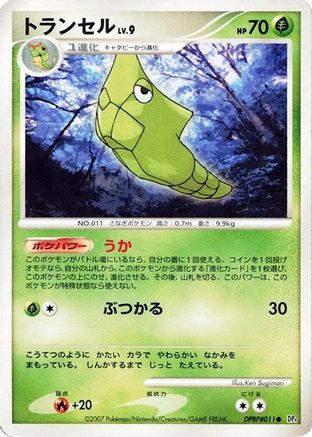Metapod - DP4 Dawn Dash Unlimited