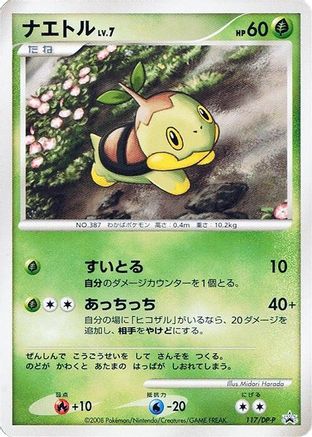 Turtwig - 117/DP-P (117/DP-P) - DPP Promotional cards