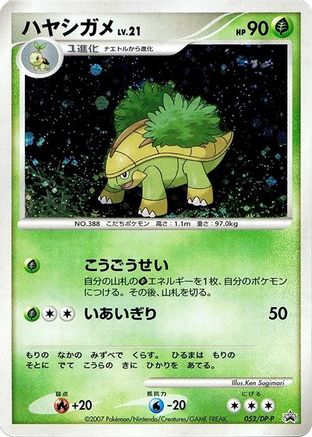 Grotle - 052/DP-P (052/DP-P) - DPP Promotional cards Holofoil