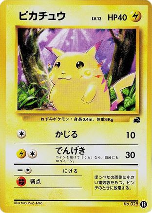 Pikachu - 13 (13) - Intro Pack Bulbasaur