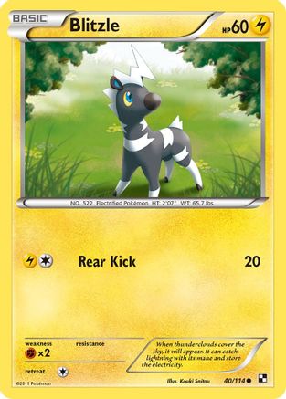 Blitzle 040/114 - Black and White Reverse Holofoil