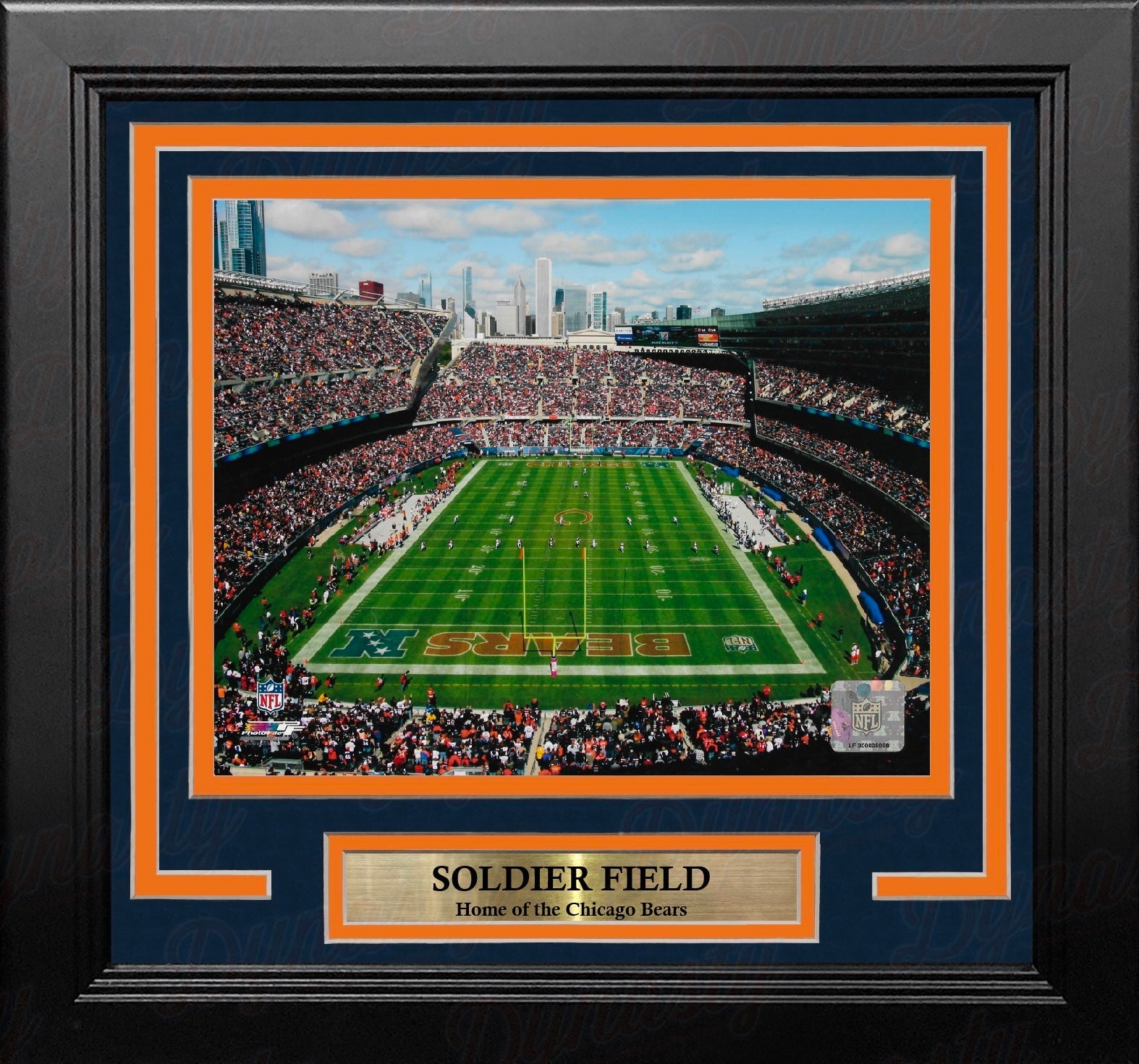 Chicago Bears Soldier Field 8" x 10" Framed Football Stadium Photo