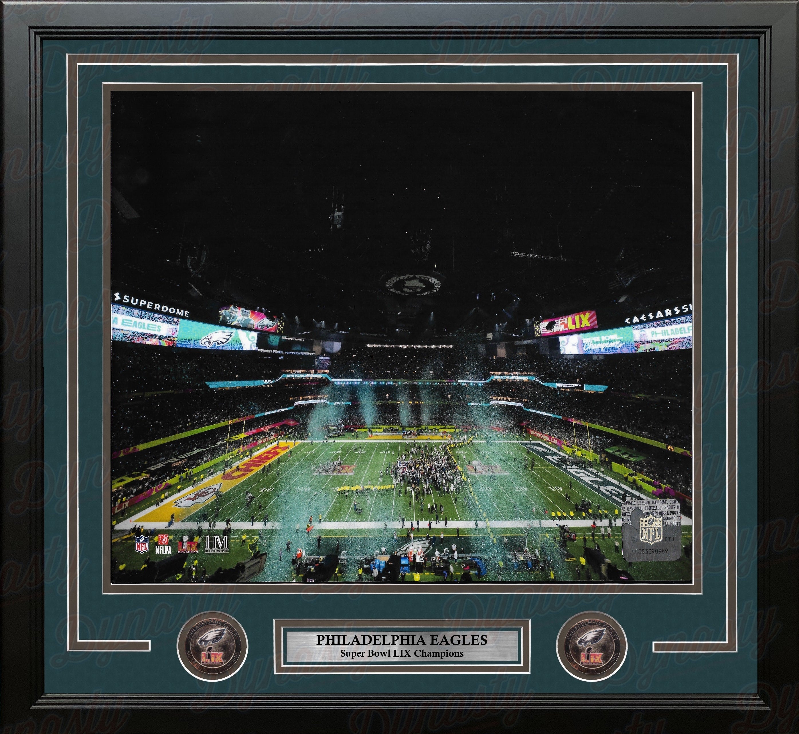 Philadelphia Eagles Super Bowl LIX Champions Stadium Celebration 11" x 14" Framed Football Photo