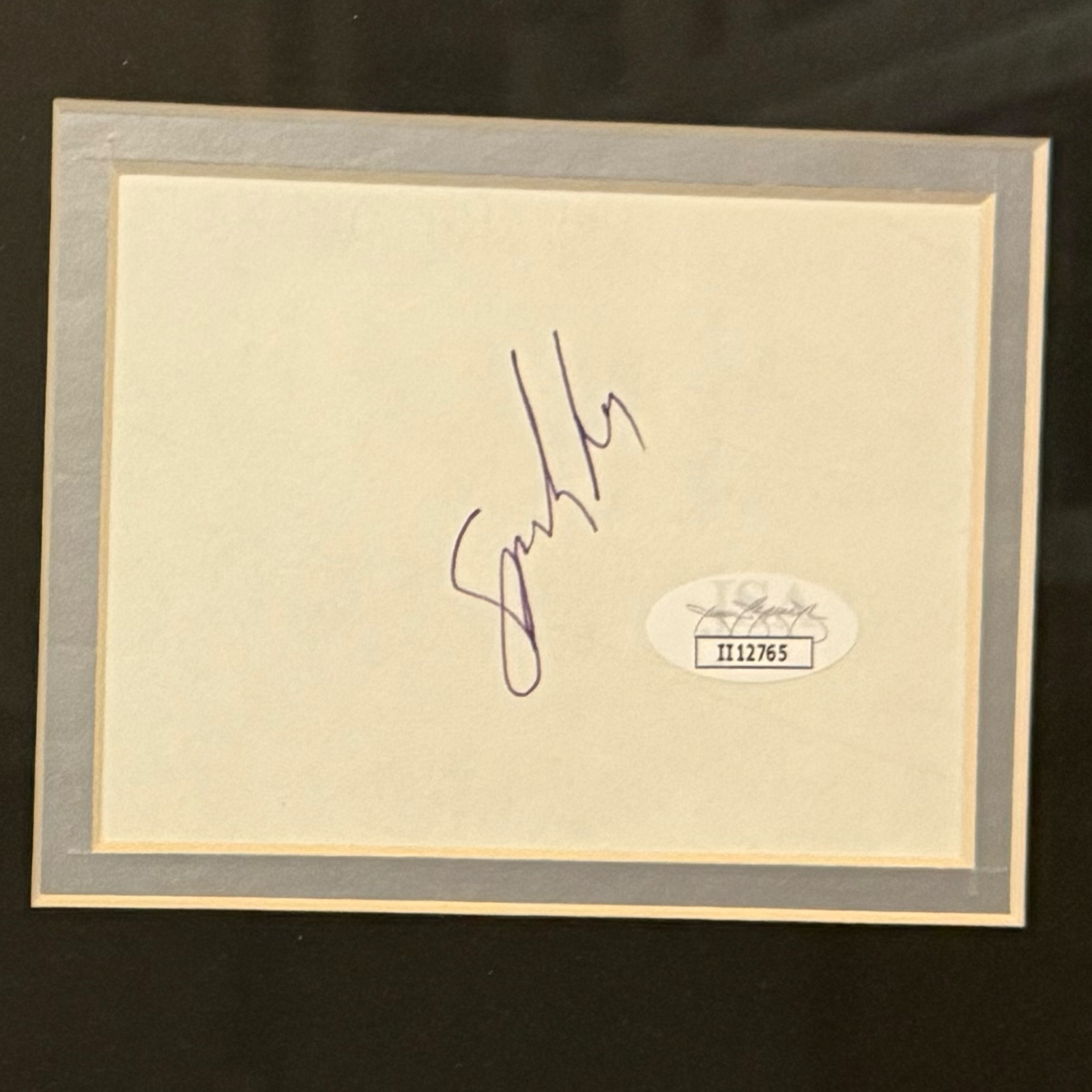 Spike Lee Autographed Nike Mars Blackmon (with Michael Jordan) Deluxe Framed 8x12 Photo Piece - JSA