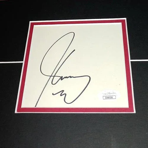 Ace Ventura 11x17 Movie Poster Deluxe Framed with Jim Carrey Autograph - JSA