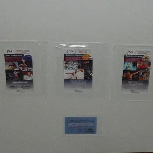 Forgetting Sarah Marshall 16x24 Movie Poster Deluxe Framed with Kristen Bell, Jason Segal and Russell Brand Autographs - JSA