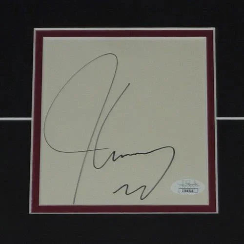 Liar Liar 11x17 Movie Poster Deluxe Framed with Jim Carrey Autograph - JSA