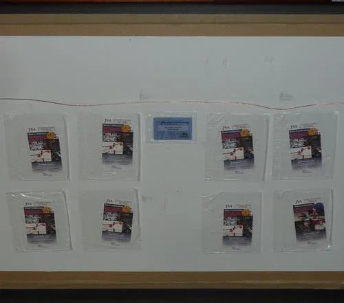 In Living Color 16x20 Photo Deluxe Framed with 8 Cast Autographs - JSA