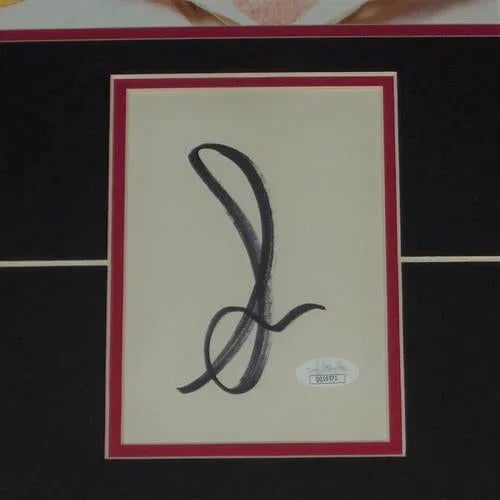 Knocked Up 11x17 Movie Poster Deluxe Framed with Seth Rogen Autograph - JSA