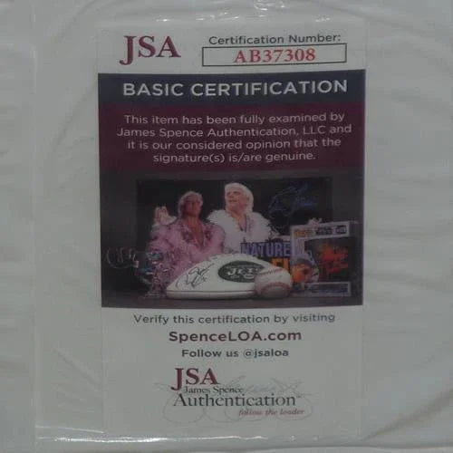 Peacemaker 11x17 TV Poster Deluxe Framed with John Cena Autograph - JSA