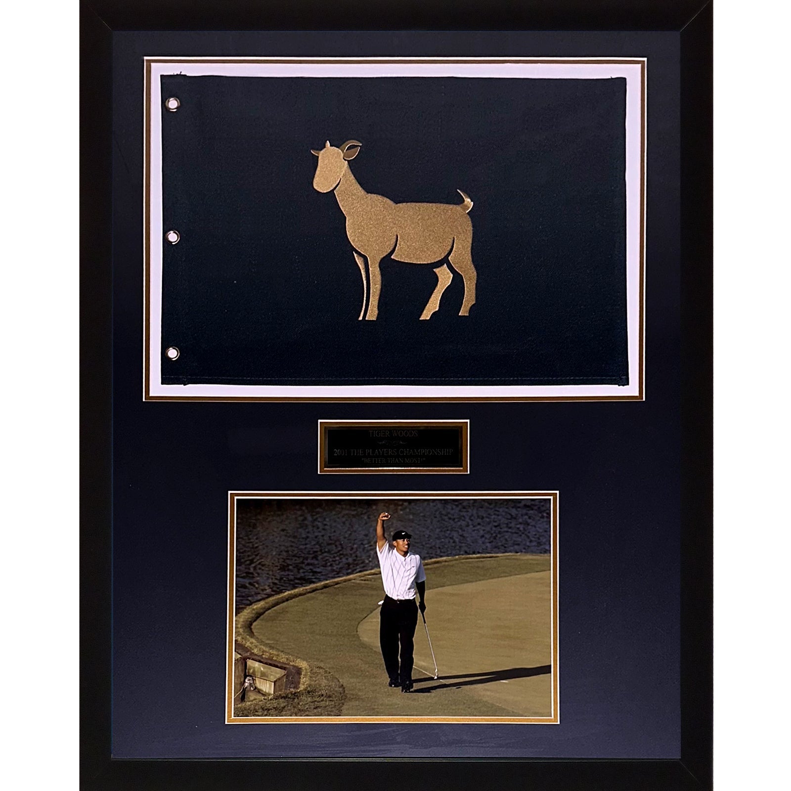 Tiger Woods TPC The Players Championship GOAT Flag Deluxe Framed with 11x14 Photo Better Than Most
