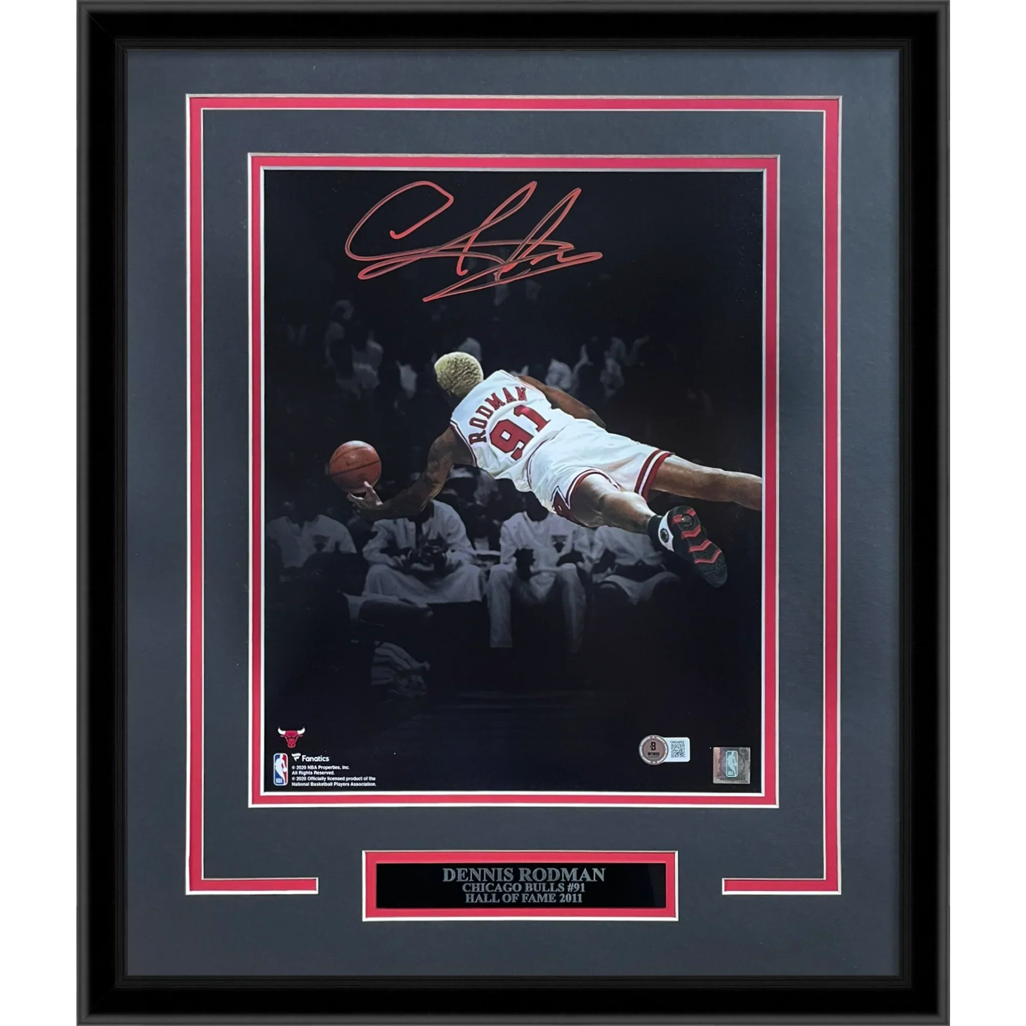 Dennis Rodman Autographed Chicago Bulls (Spotlight Dive) Deluxe Framed 11x14 Photo - JSA