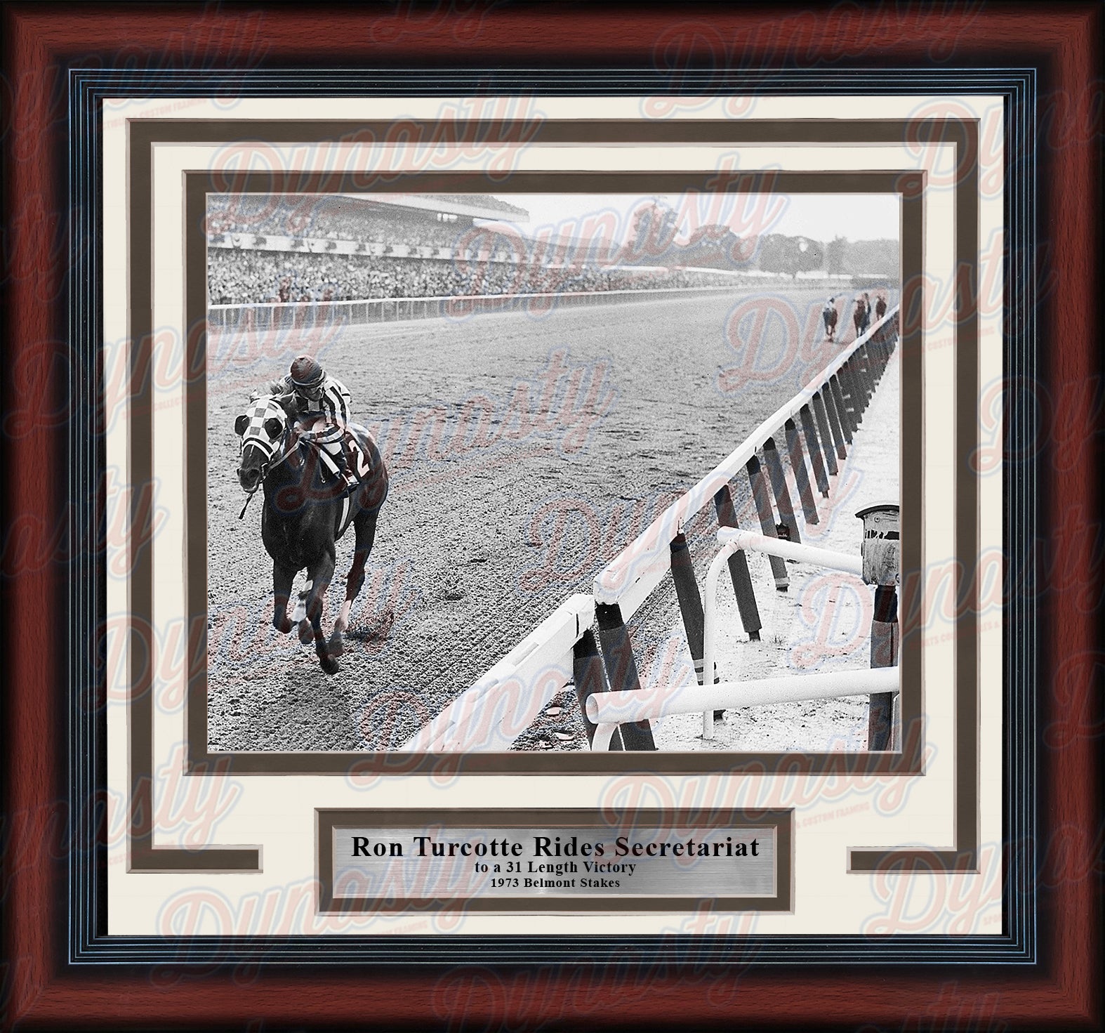 Ron Turcotte Riding Secretariat at the 1973 Belmont Stakes Framed Horse Racing Photo