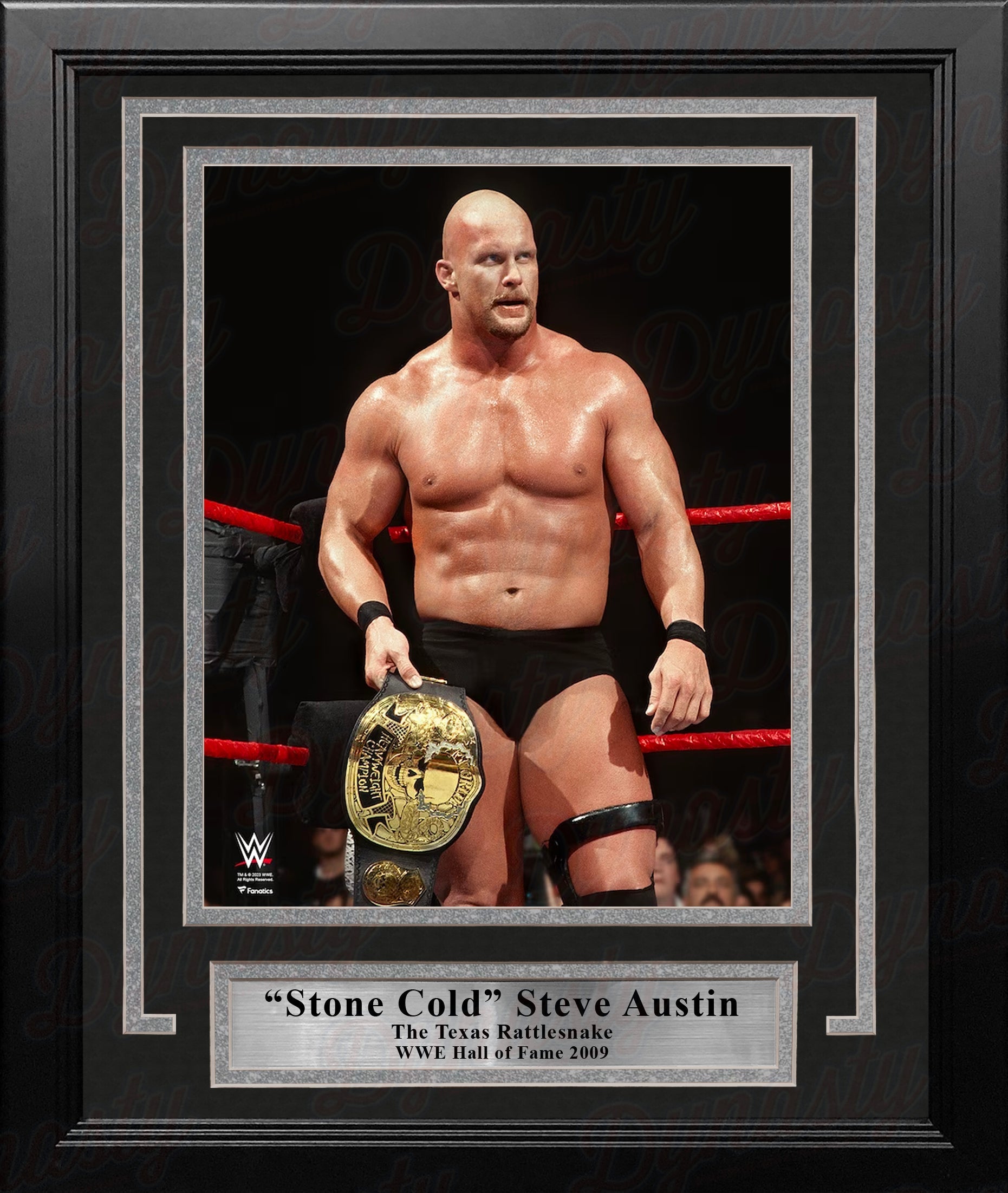 Stone Cold Steve Austin Smoking Skull Championship Belt 8" x 10" Framed WWE Wrestling Photo