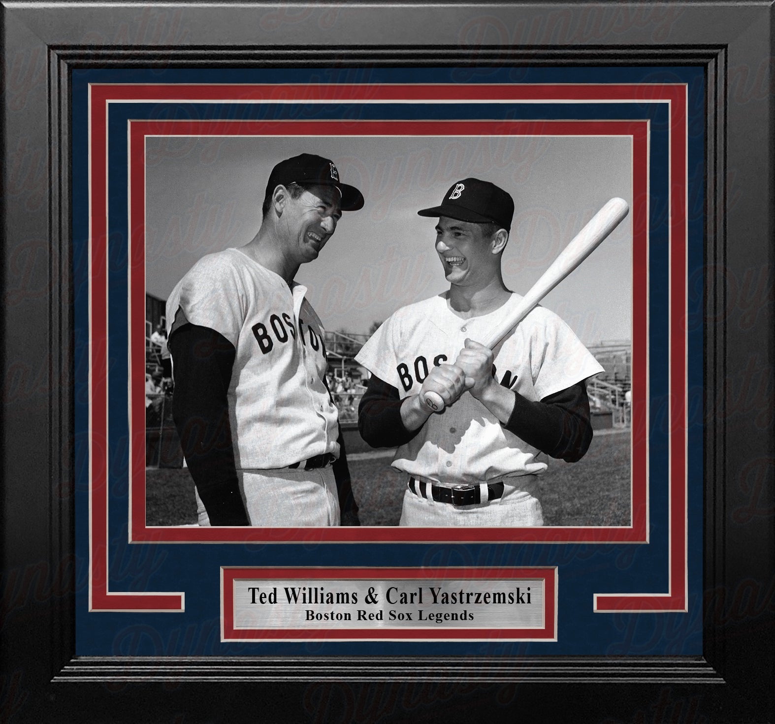 Ted Williams & Carl Yastrzemski Boston Red Sox 8" x 10" Framed Baseball Photo