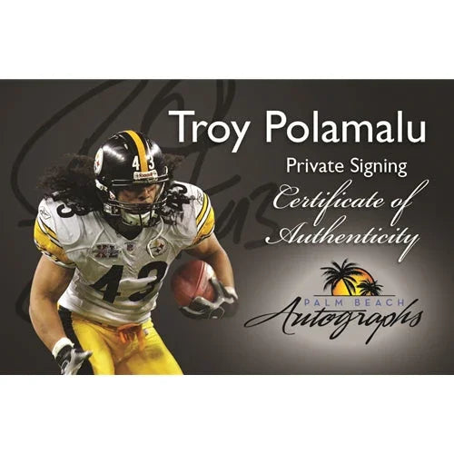Troy Polamalu Autographed Pittsburgh (Black #43) Deluxe Framed Jersey - JSA