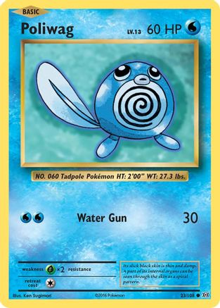 Poliwag 023/108 - XY  Evolutions