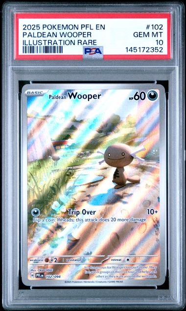 Graded 2025 PKM PFL EN Paldean Wooper #102 Illustration Rare Trading Card Game PSA 10 Gem Mint