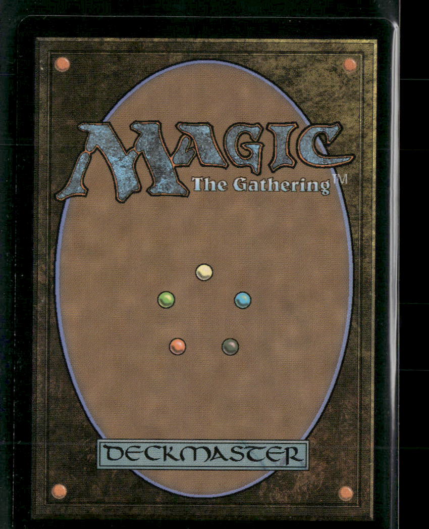Forgotten Cellar // Walk-In Closet #0341 - Magic: The Gathering
