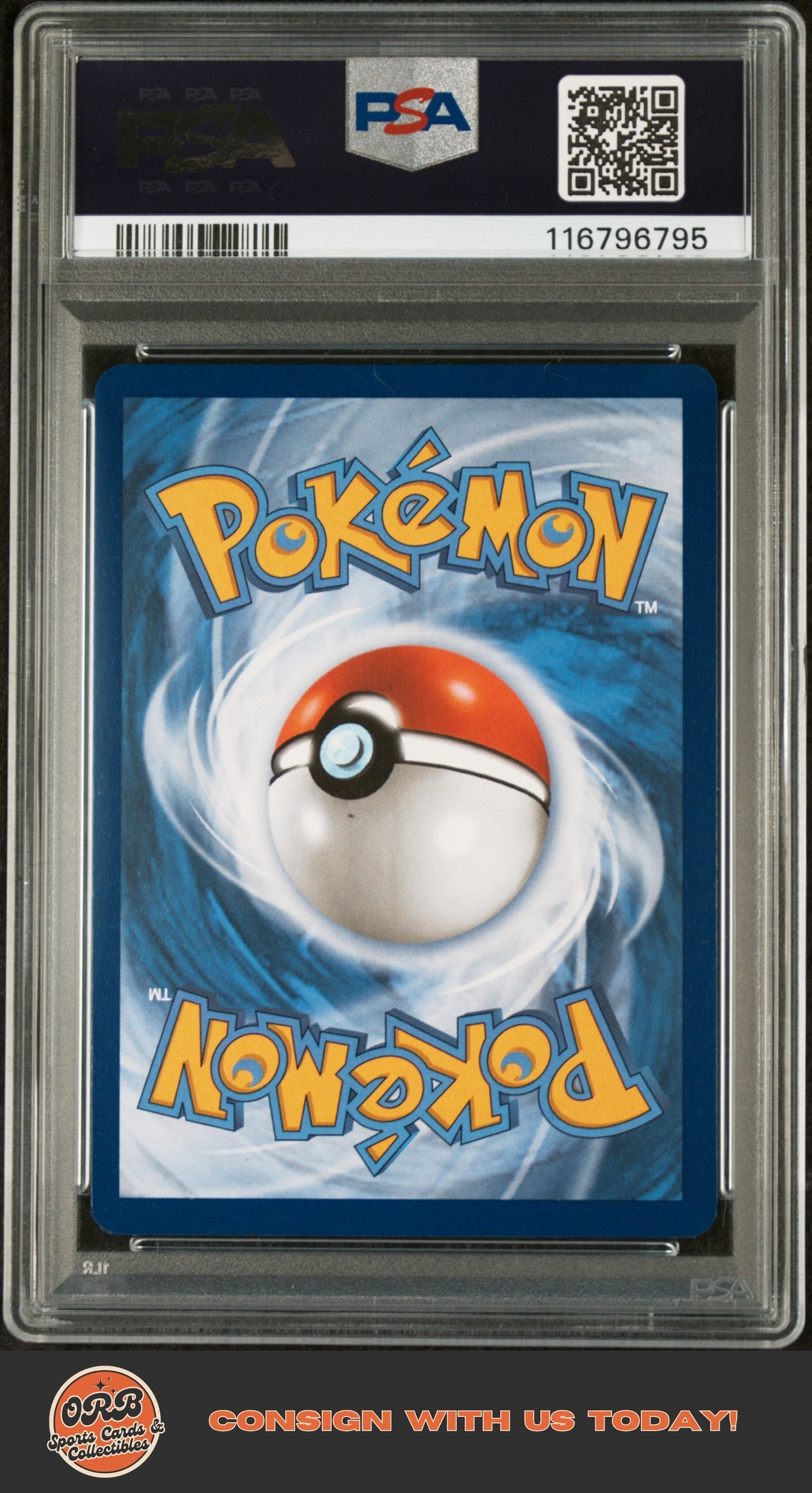 Salamence Ex 2025 Pokemon #187 Special Illustration Rare PSA 8