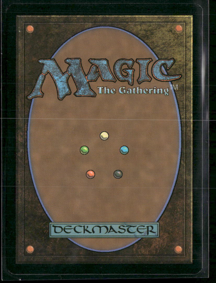 Universes Beyond: The Lord of the Rings: Tales of Middle-earth Mithril Coat #245