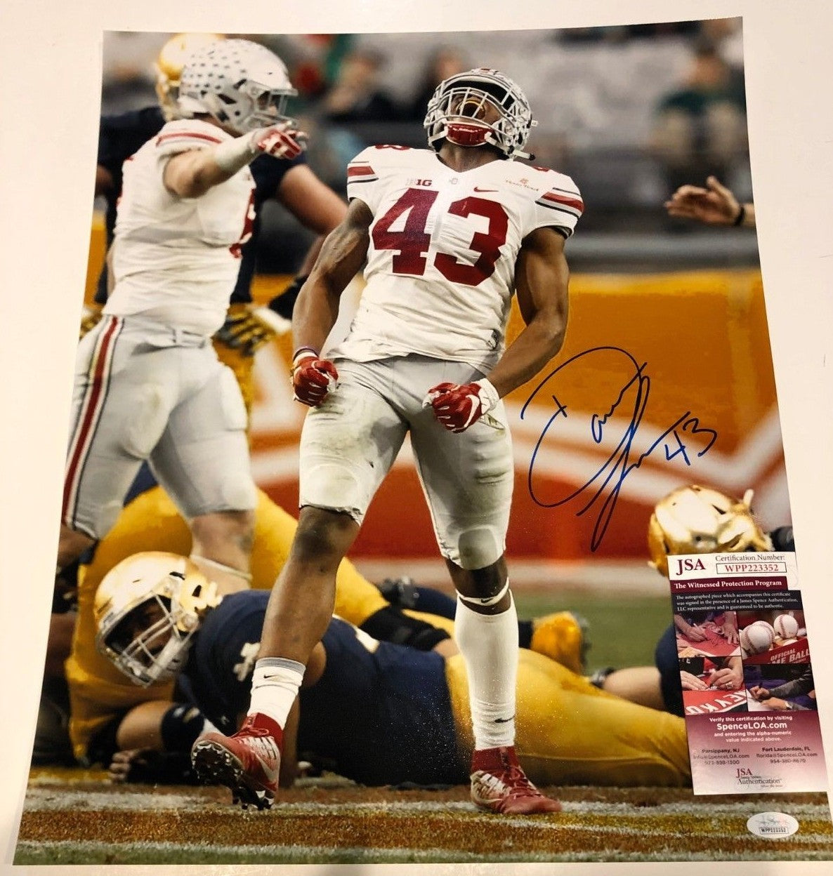 Ohio State Buckeyes Darron Lee Autographed Signed 16X20 Photo Jsa  Coa