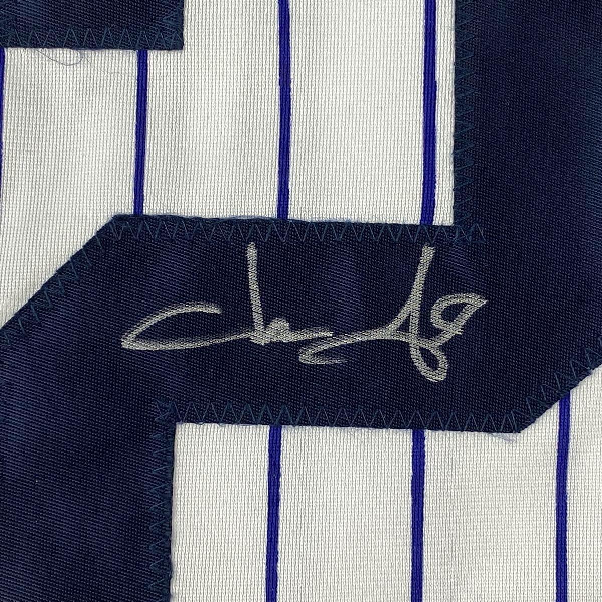 Framed Autographed/Signed Jason Giambi 35x39 New York Pinstripe Baseball Jersey PSA/DNA COA