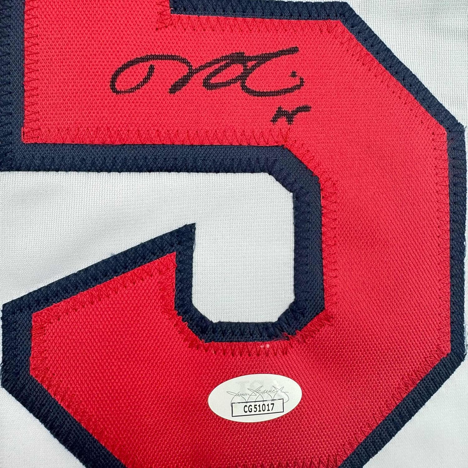 Framed Autographed/Signed Dustin Pedroia 35x39 Boston White Baseball Jersey JSA COA