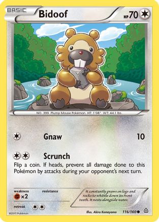 Bidoof 116/160 - XY  Primal Clash
