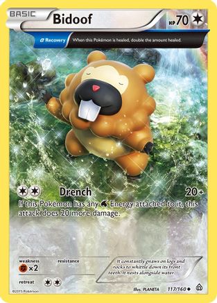 Bidoof (Alpha) 117/160 - XY  Primal Clash