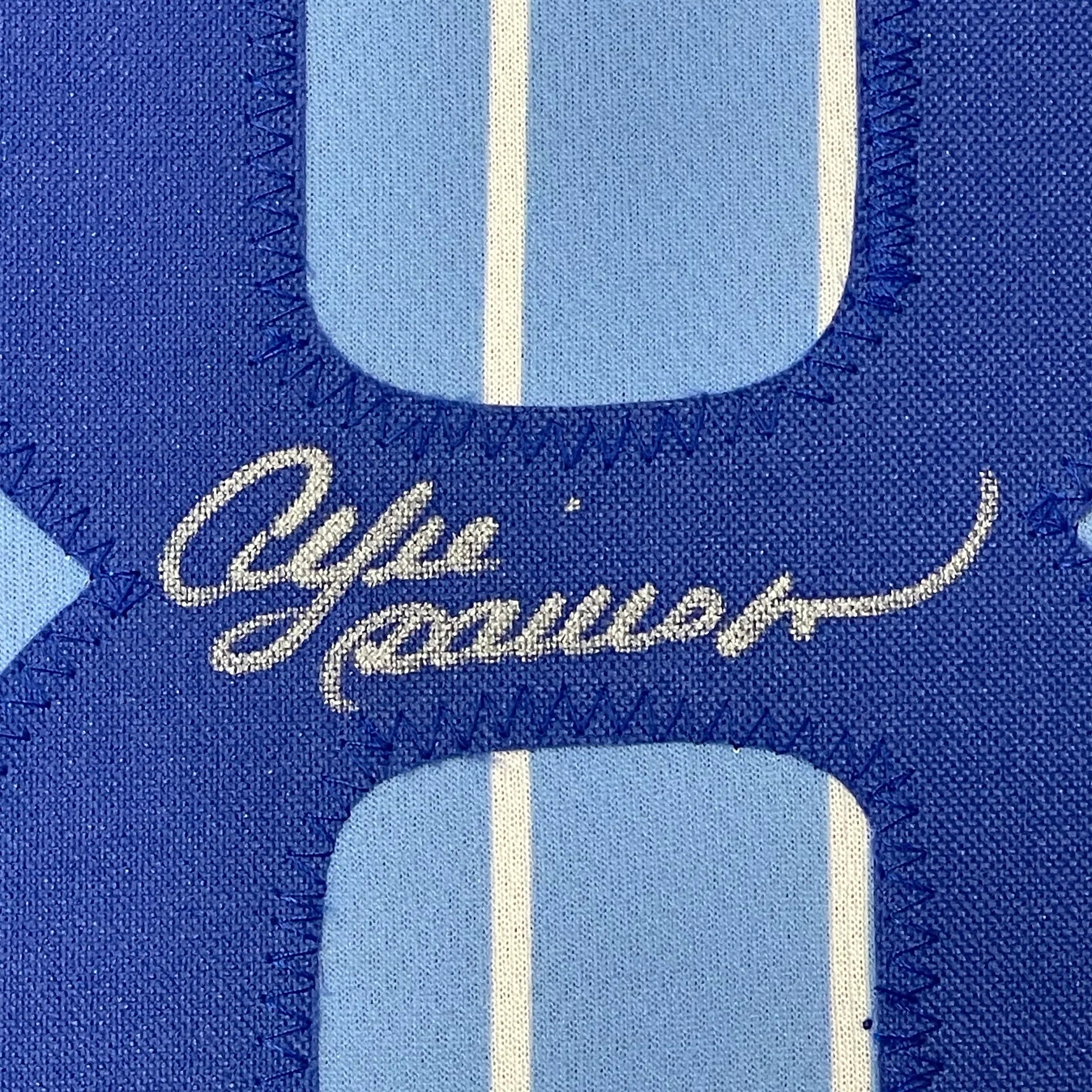 Framed Autographed/Signed Andre Dawson 35x39 Chicago Pinstripe Blue Baseball Jersey JSA COA