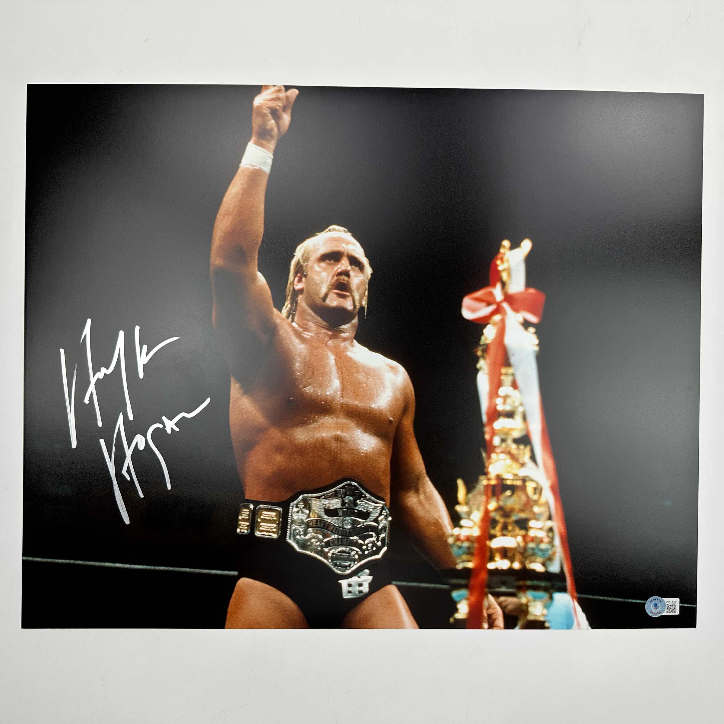 Autographed/Signed Hulk Hogan 16x20 WWE WWF Hulkamania Wrestling Photo Beckett BAS COA #6