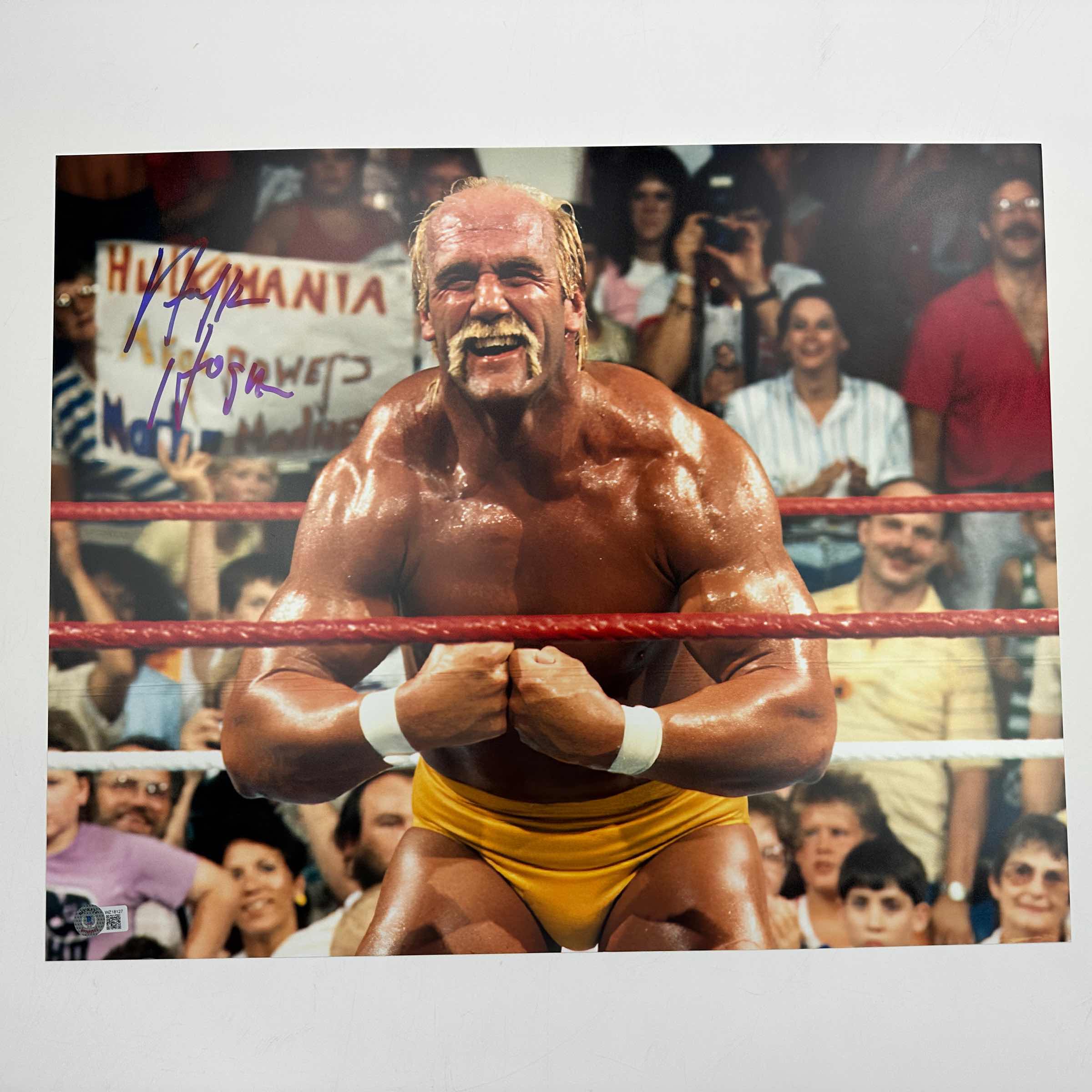 Autographed/Signed Hulk Hogan 16x20 WWE WWF Hulkamania Wrestling Photo Beckett BAS COA #12