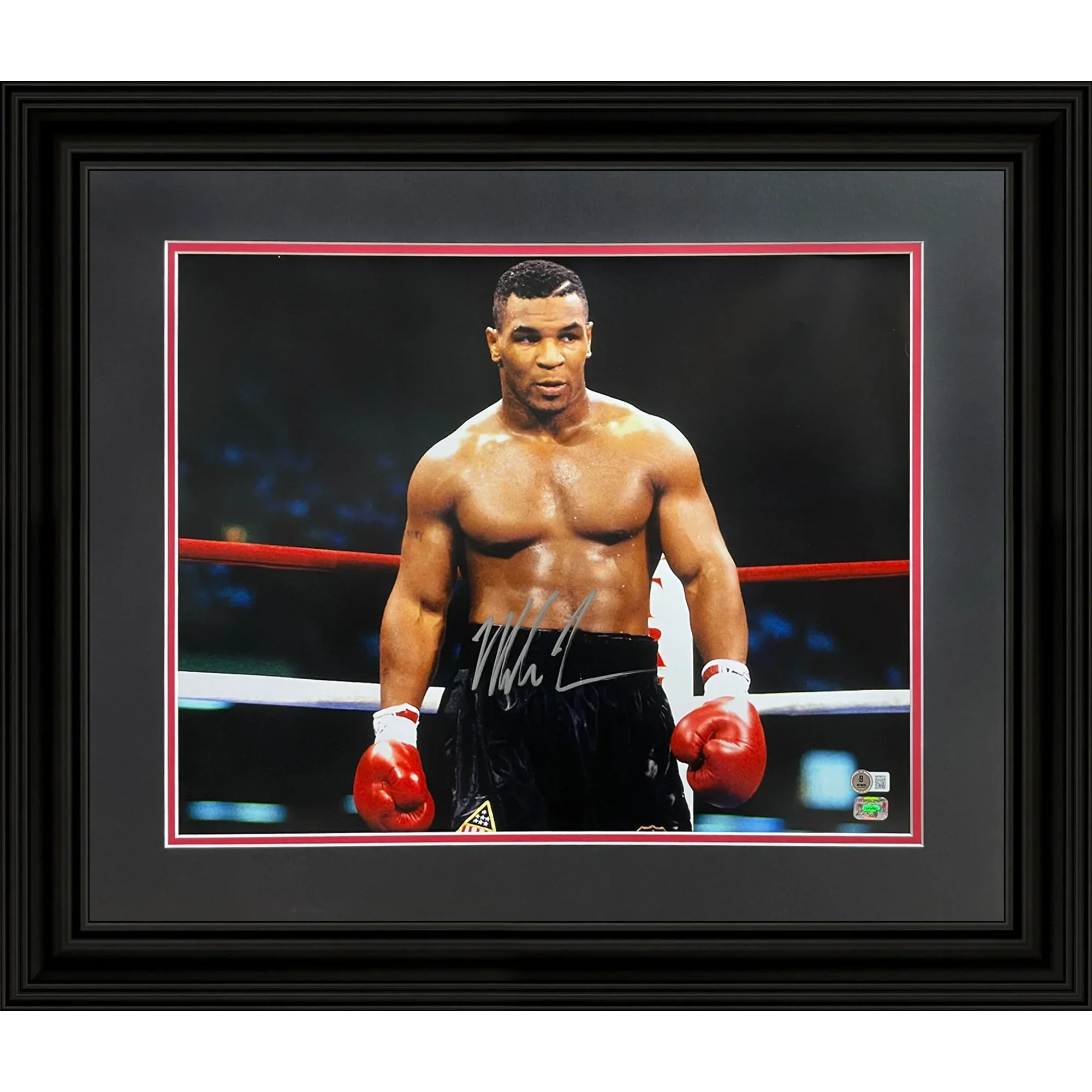 Mike Tyson Autographed Boxing (Horizontal) Deluxe Framed 16x20 Photo - JSA