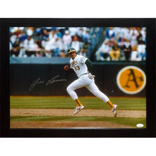 Jose Canseco Autographed Oakland Athletics A's Framed 16x20 Photo - JSA