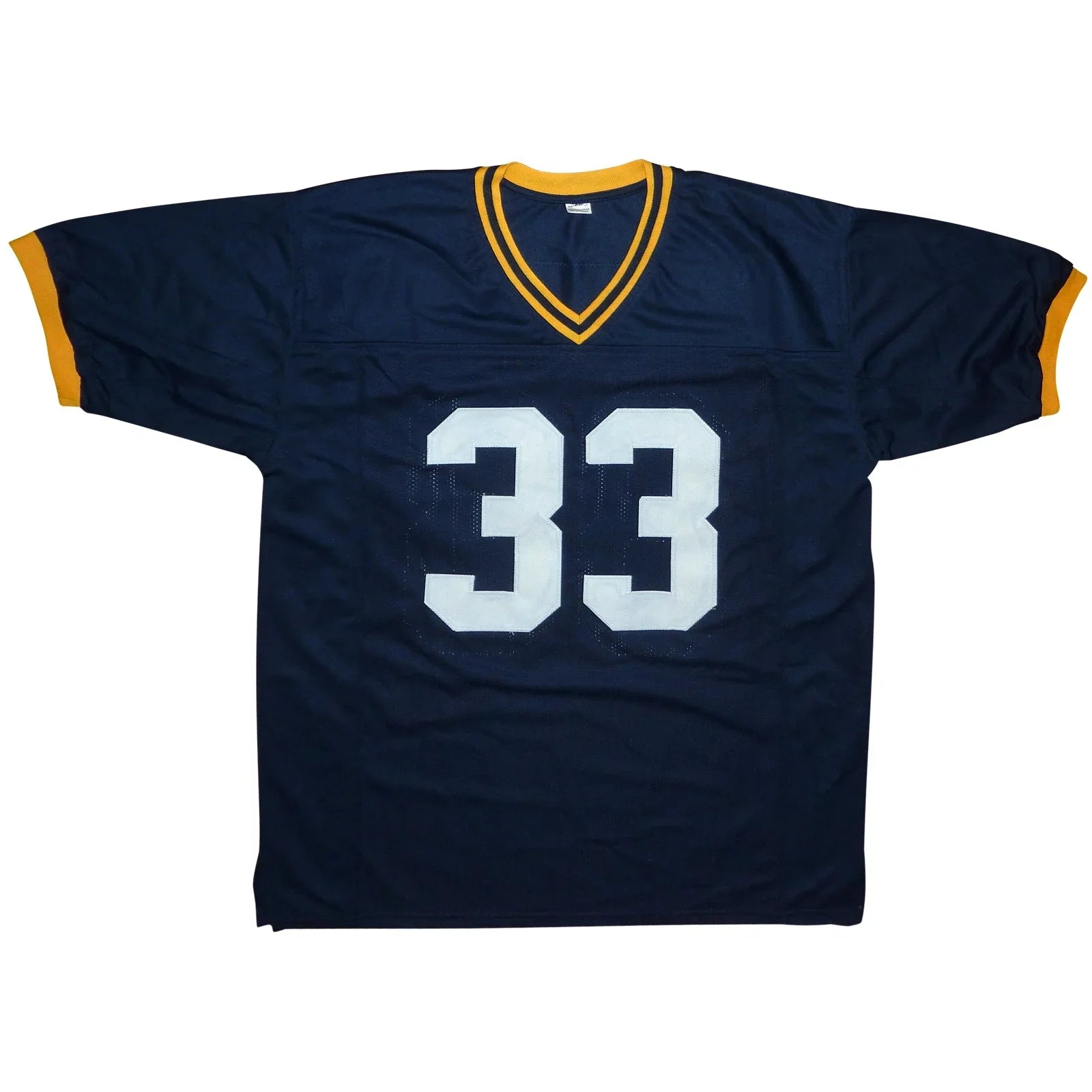 Jason Taylor Autographed Akron Zips (Blue #33) Custom Jersey - JSA