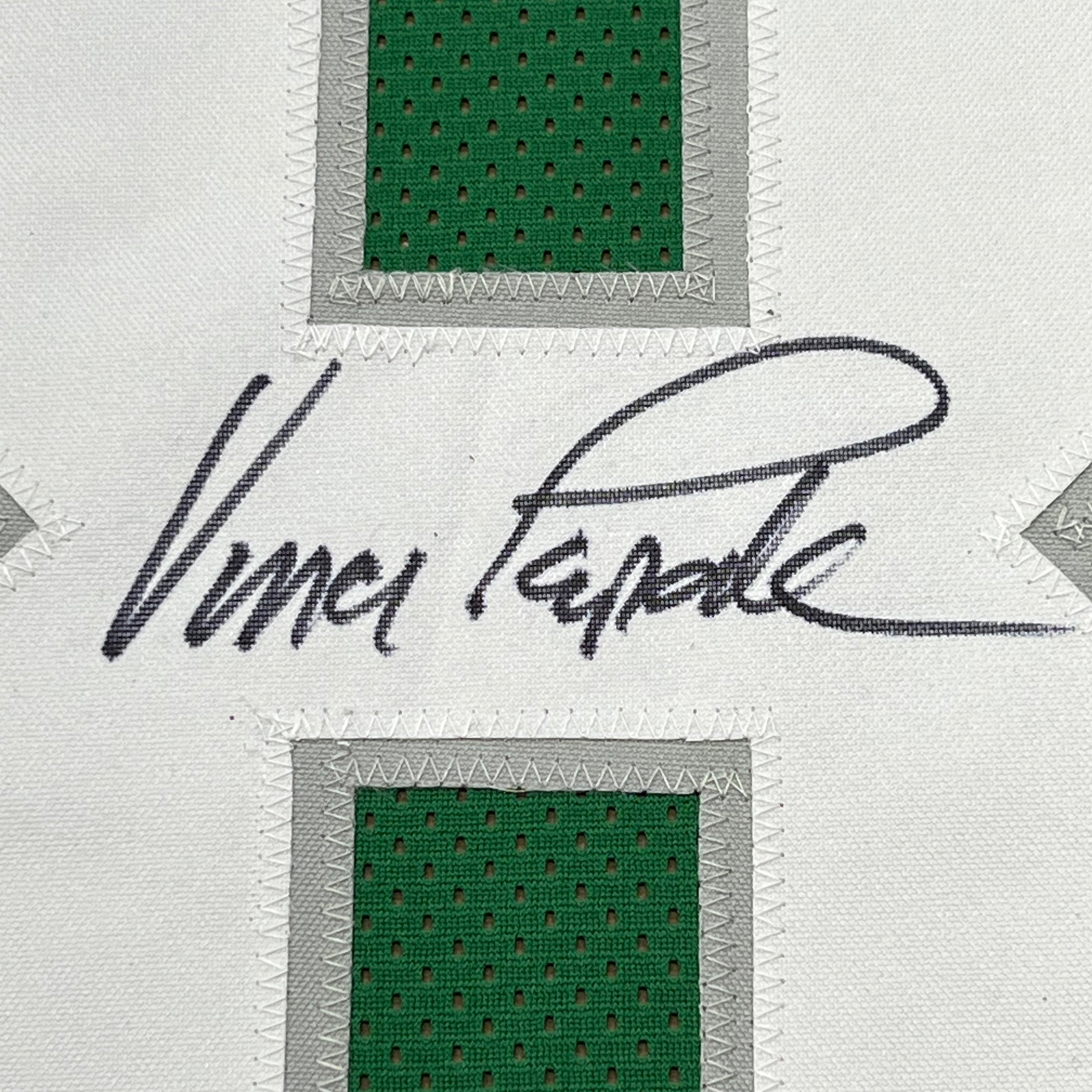 Framed Autographed/Signed Vince Papale 35x39 Philadelphia Green Football Jersey JSA COA