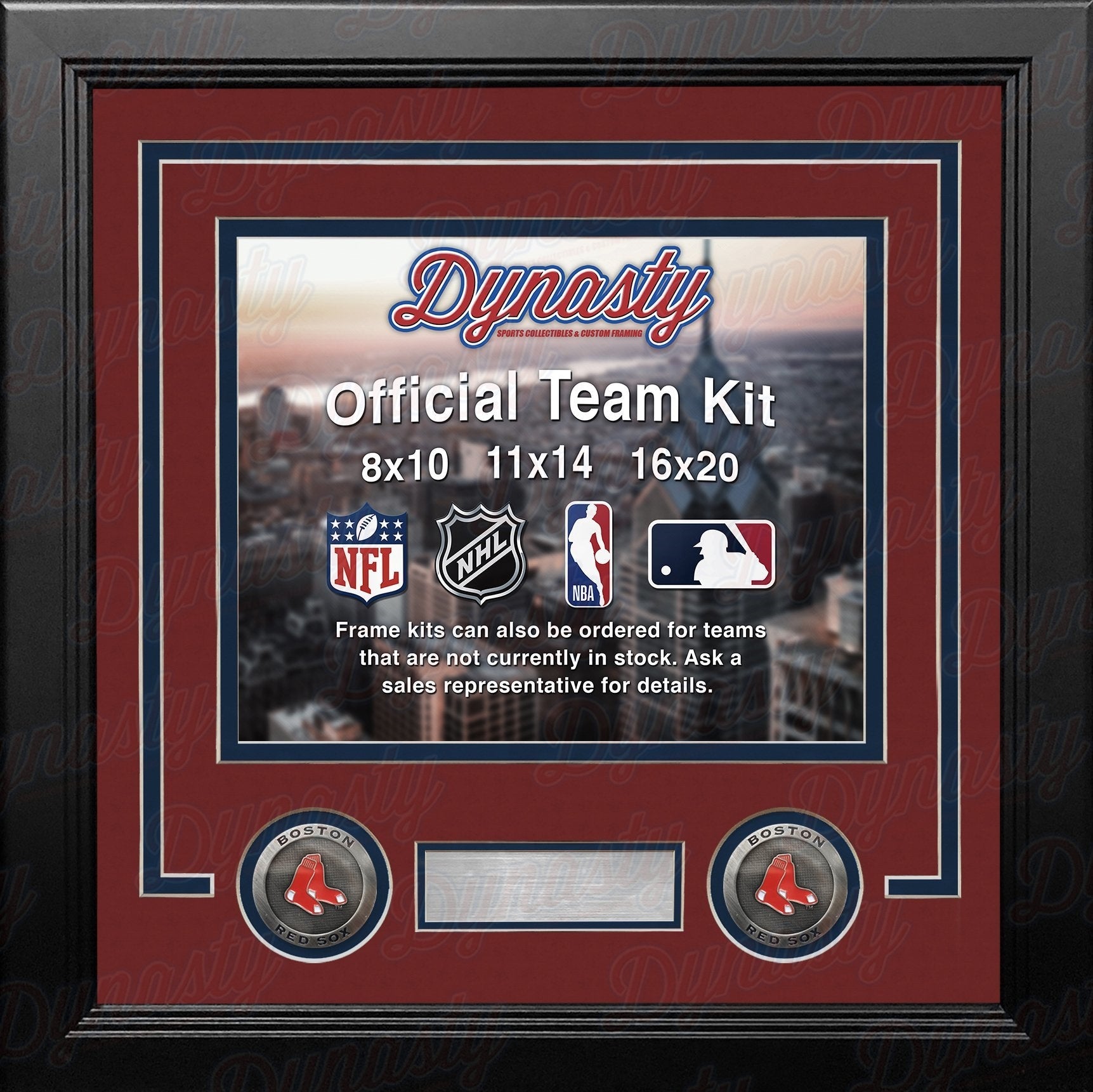 Boston Red Sox Custom MLB Baseball 16x20 Picture Frame Kit (Multiple Colors)