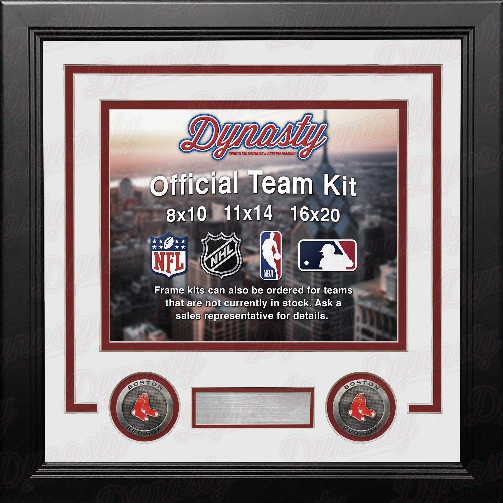 Boston Red Sox Custom MLB Baseball 16x20 Picture Frame Kit (Multiple Colors)